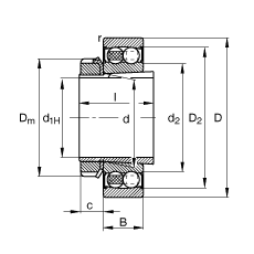 {S 2205-K-2RS-TVH-C3 + H305,  DIN 630  DIN 5415 ˜ʵҪߴ, F׺;oףɂȴܷ
